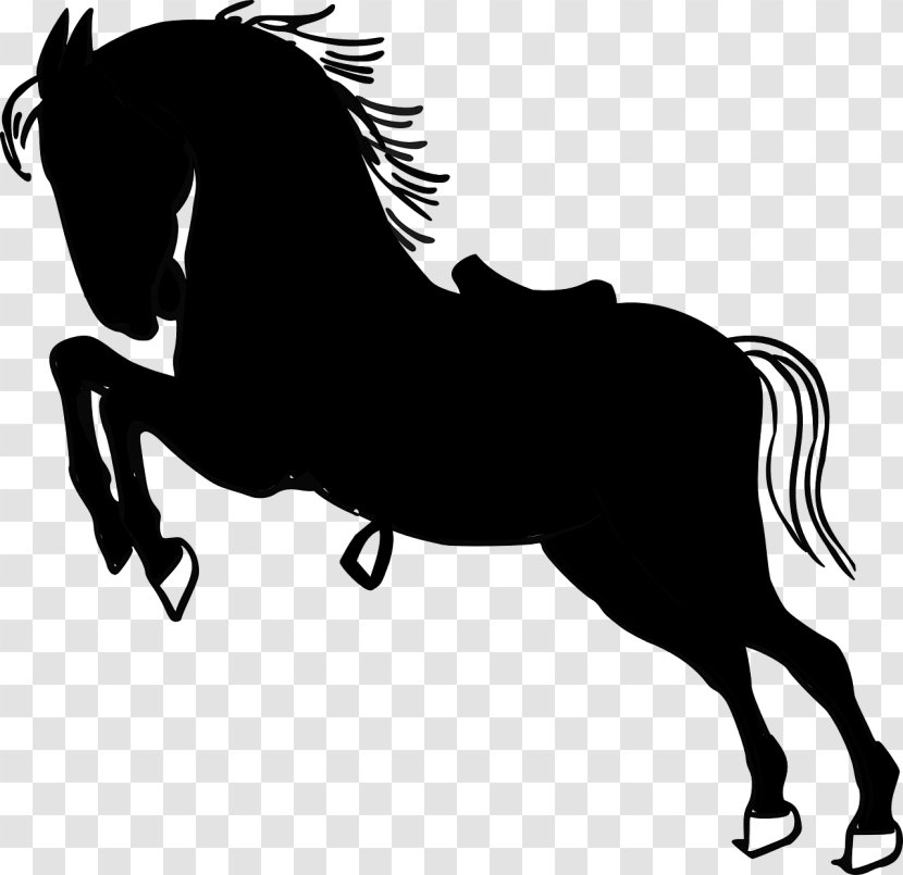 Pony Mustang Stallion Drawing Horse - Line Art Transparent PNG