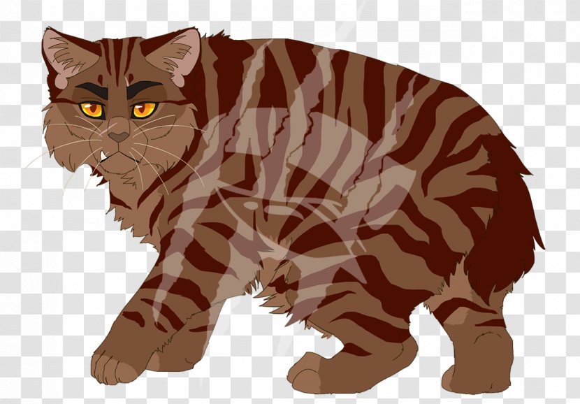 Manx Cat Kitten Whiskers Tabby Domestic Short-haired - Wild Transparent PNG