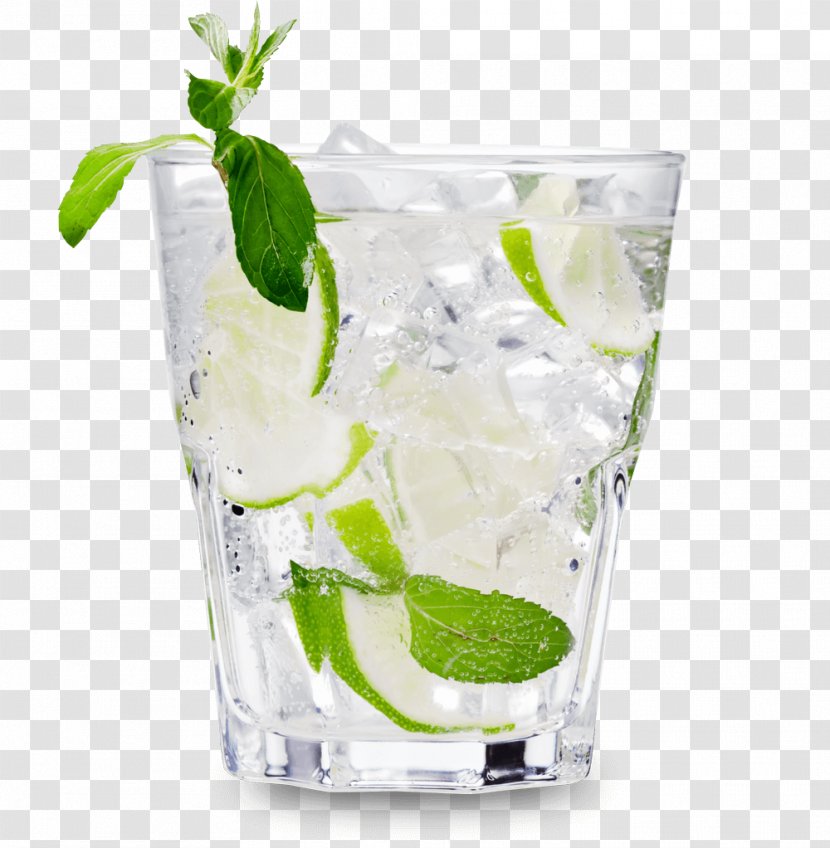 Vodka Tonic Cocktail Distilled Beverage Beer - Lemon - Mojito Transparent PNG