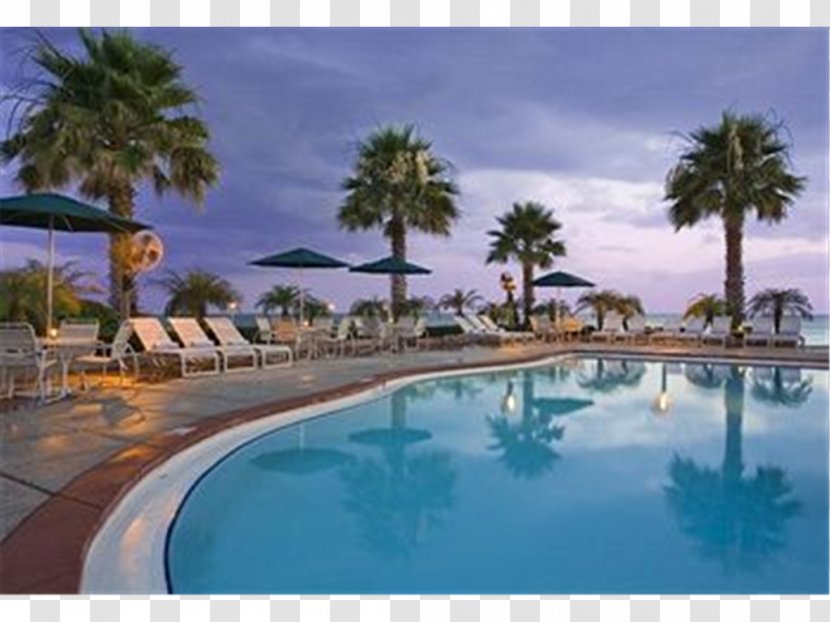 Grand Hyatt Tampa Bay Place Tampa/Busch Gardens Resort - Swimming Pool - Title Bar Transparent PNG
