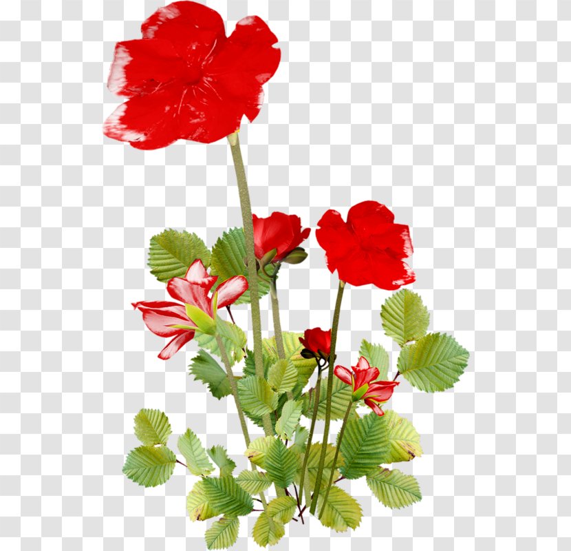 Flower Bouquet Floral Design Desktop Wallpaper - Plant Stem Transparent PNG