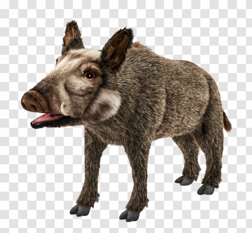 Peccary Domestic Pig Donkey Snout Mammal Transparent PNG