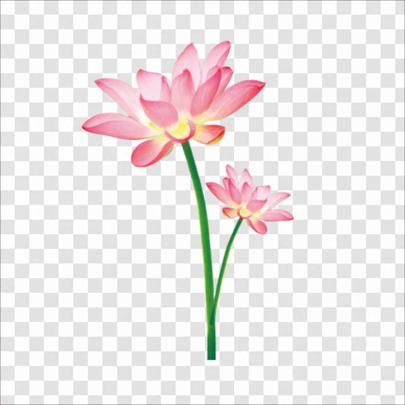 Download Icon - Editing - Lotus Transparent PNG