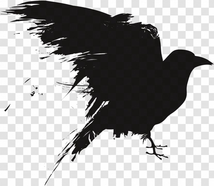 Crow Royalty-free Photography Drawing - Rook - Rave Vector Transparent PNG