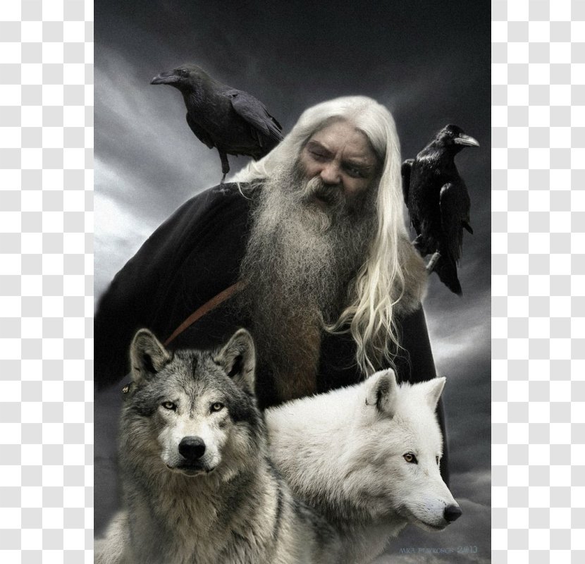 Odin Gray Wolf Geri And Freki Huginn Muninn Norse Mythology - Viking Transparent PNG
