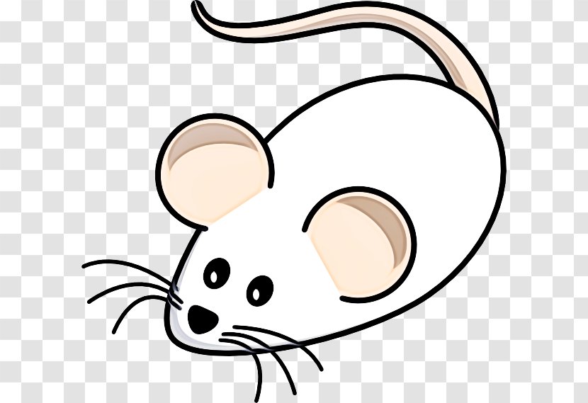 Clip Art Nose Snout Mouse Line - Ear - Pest Transparent PNG