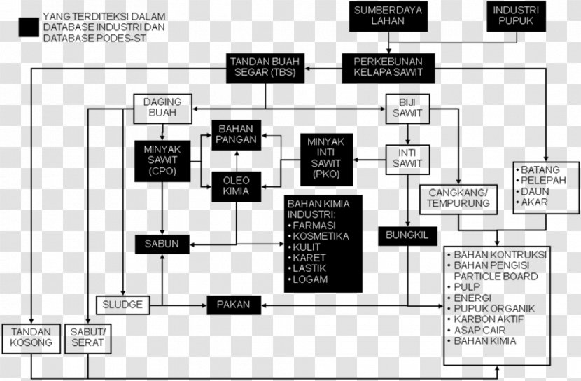 Coconut Oil Palms Industrial Agriculture Plant Industry - Organization Transparent PNG