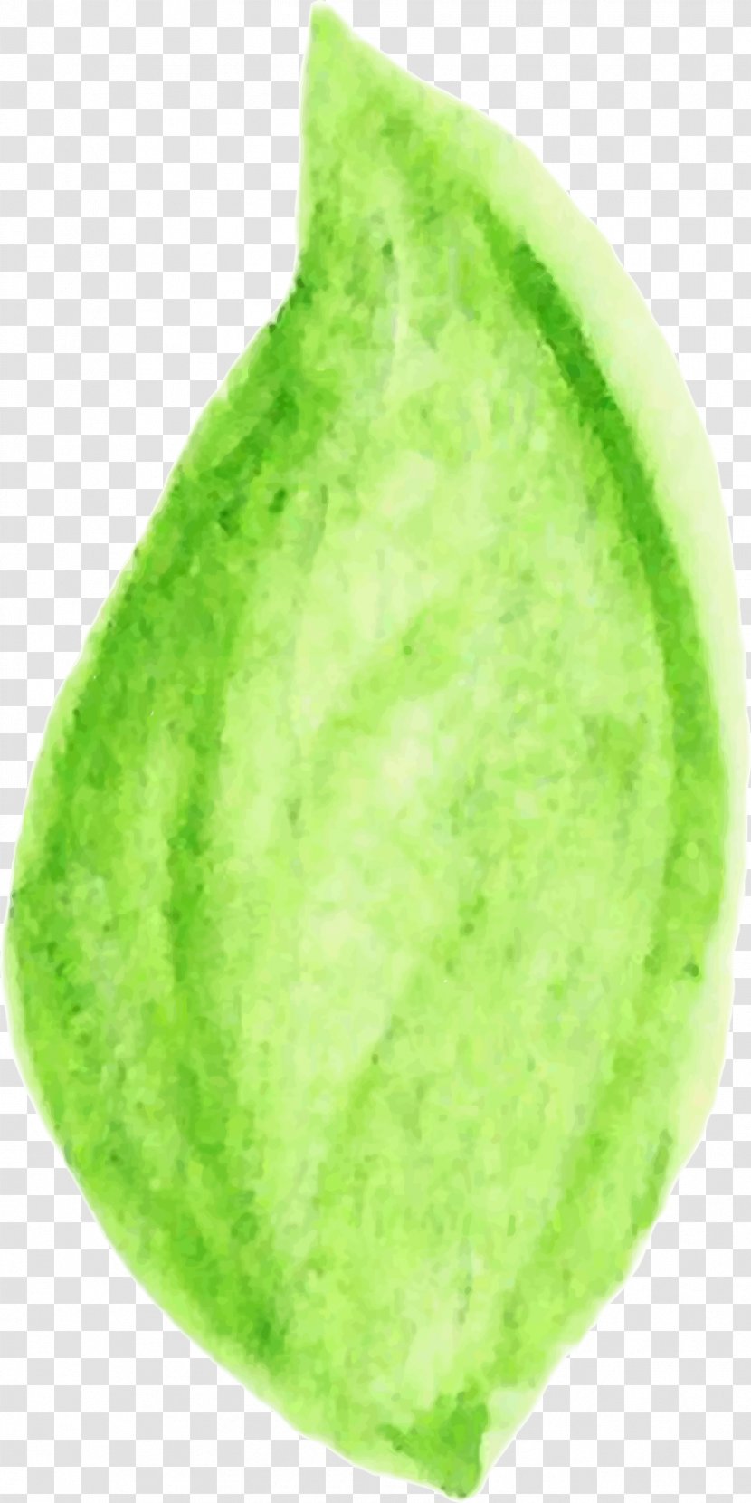 Vegetable Food Fruit Leaf - WATERCOLOR LEAF Transparent PNG