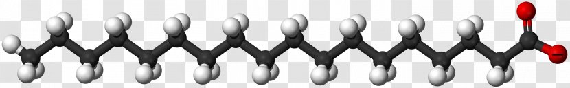 Stearic Acid Saturated Fat Fatty - Palmitic - Black And White Transparent PNG