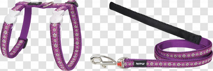 Leash Cat Dingo Dog Collar - Violet Transparent PNG