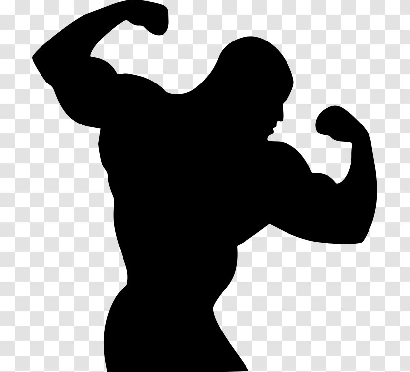 Bodybuilding.com Physical Fitness Silhouette - Shoulder - Bodybuilding Transparent PNG