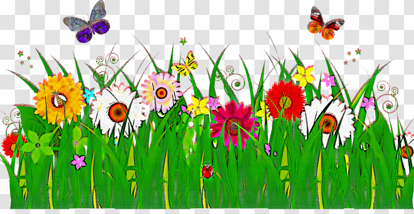 Meadow Wildflower Plant Flower Grass Transparent PNG