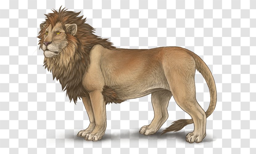 Lion Mutation Leopon Mane Hybrid - Fur - Head Transparent PNG