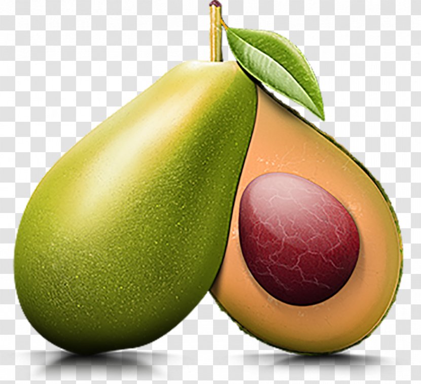 Auglis Green Avocado - Vegetable - Hand-painted Transparent PNG