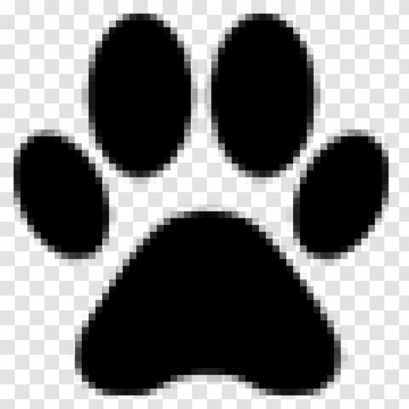 Dog Cat Puppy Paw Clip Art - Snout Transparent PNG