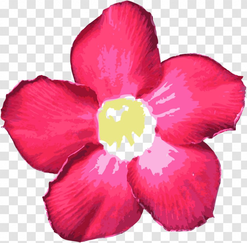 Petal Flower Mallows - Data - Red Flowers Transparent PNG