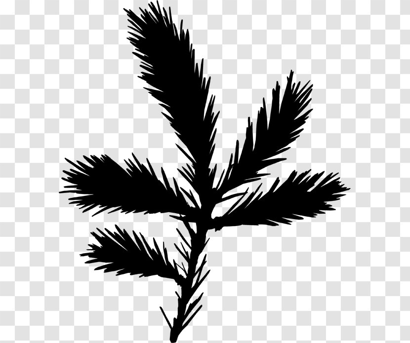 Twig Black & White - Blackandwhite - M Leaf Plant Stem Palm Trees Transparent PNG