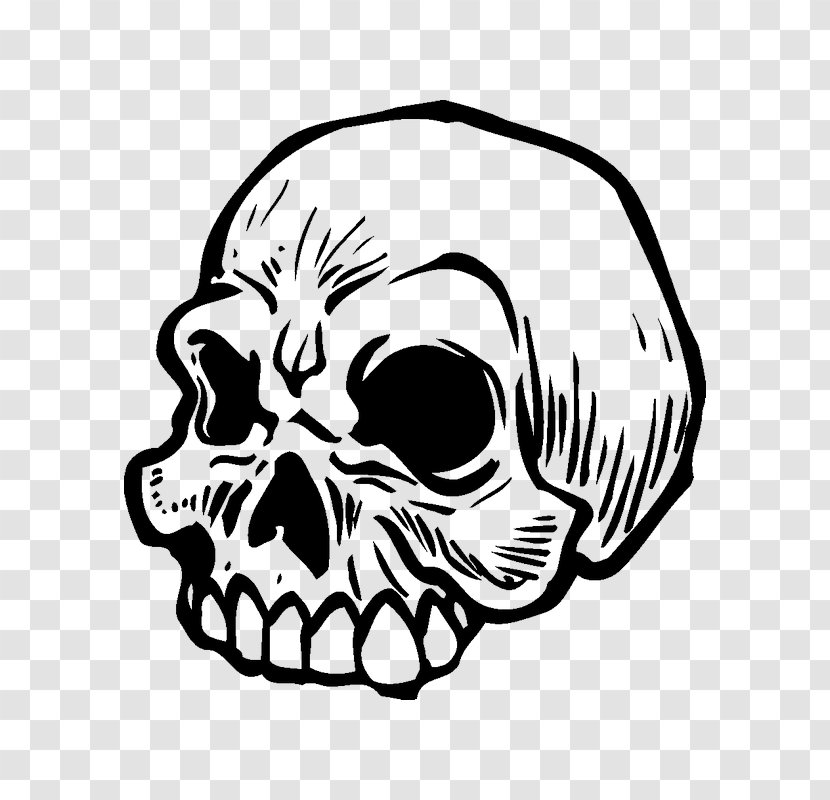 Skull Calavera Sticker Adhesive Car - Frame Transparent PNG