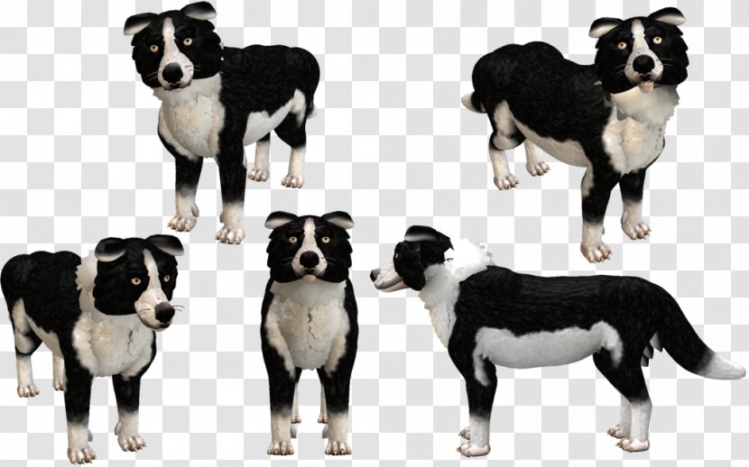 Border Collie Dog Breed Spore Creatures Karelian Bear - Video Game Transparent PNG