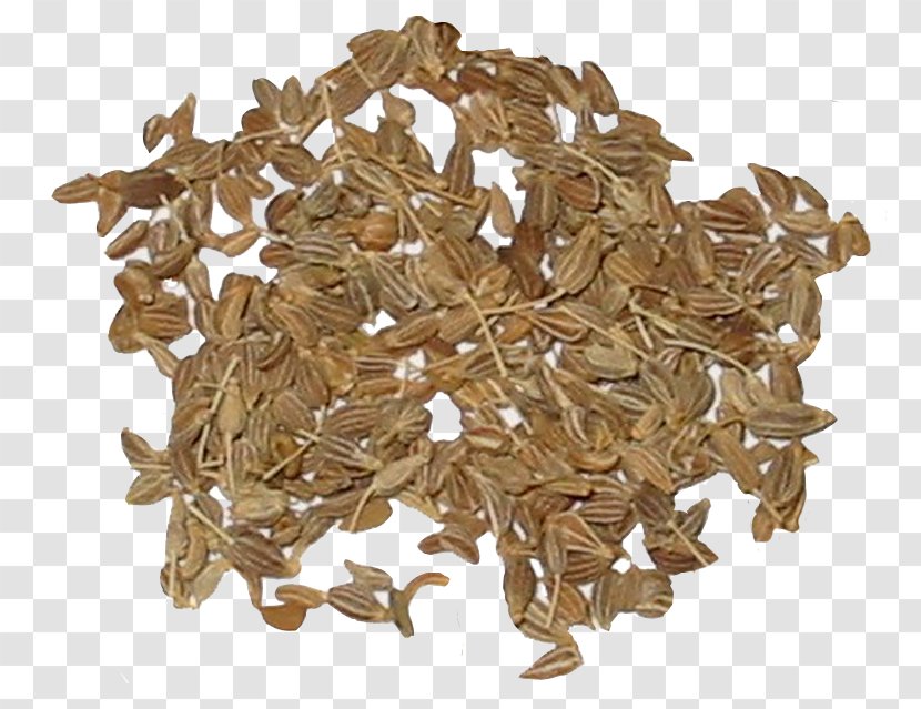 Spice Star Anise Seed Herb - Cinnamomum Verum - Coffee Seeds Transparent PNG
