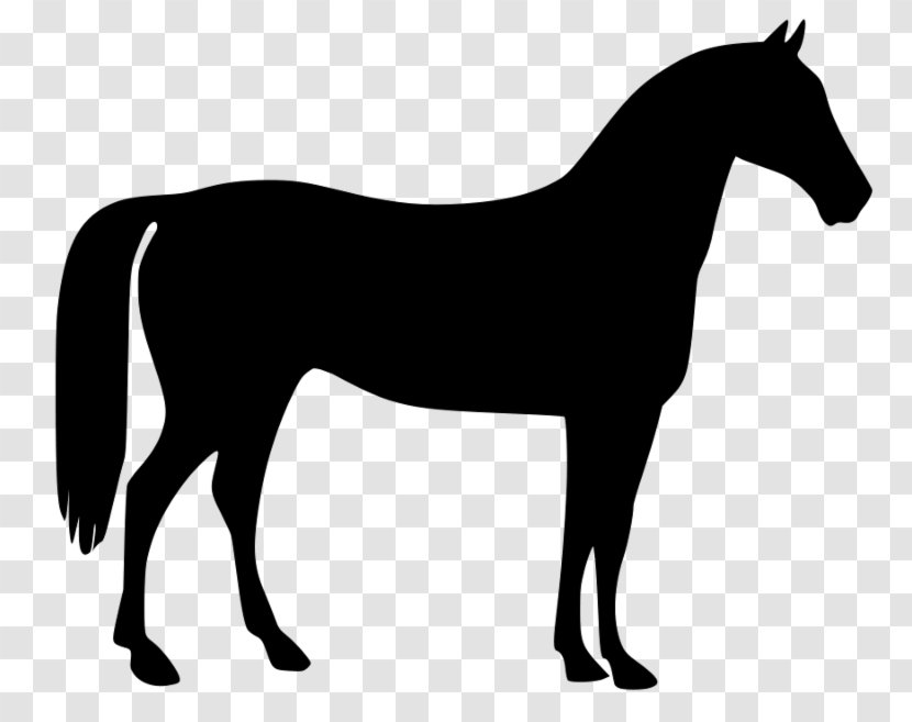 American Quarter Horse Standing Rearing Clip Art - Tack - Spirit Transparent PNG