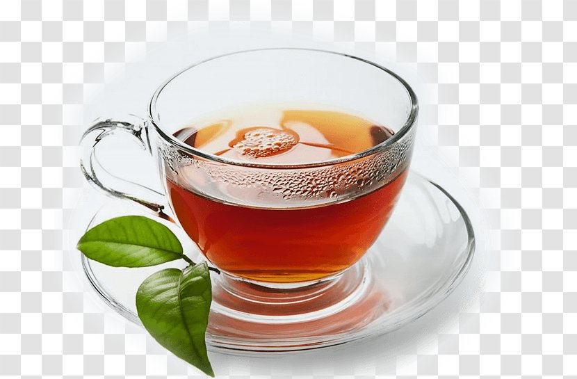 Tea Bag Basil Girnar Steeping - Herbal - Coimbatore Transparent PNG