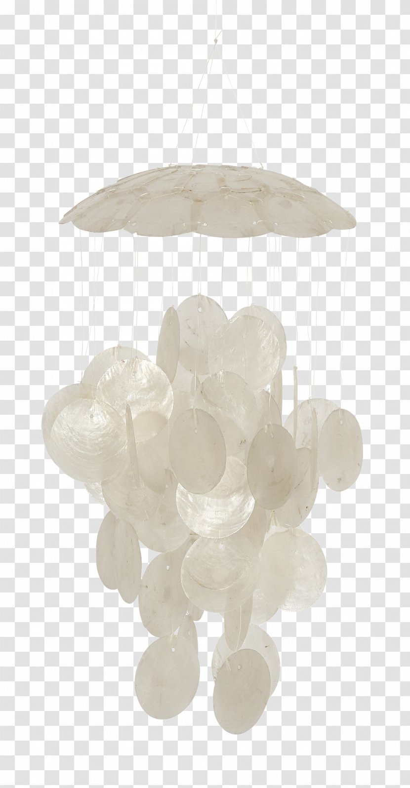 Windowpane Oyster Wind Chimes Seashell - Light Fixture Transparent PNG