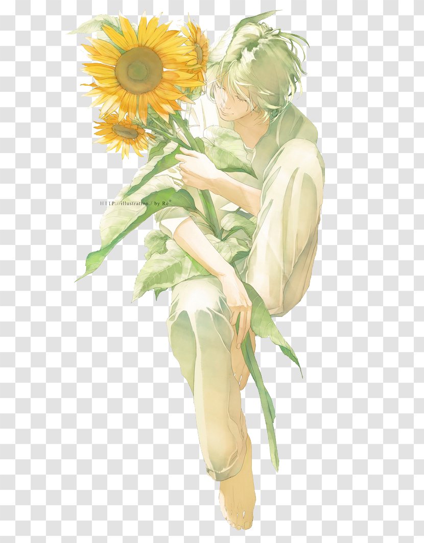 Killua Zoldyck Pixiv Drawing Illustration - Cartoon - Sunflower Juvenile Painted Transparent PNG