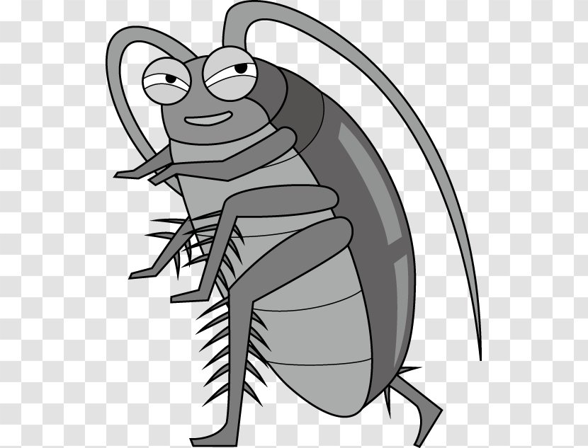 Blattodea Insect Roach Motel Clip Art - Line Transparent PNG