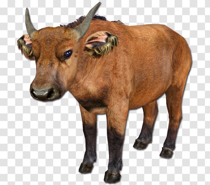 Zoo Tycoon 2 Cattle African Buffalo Forest - Animal - Bison Transparent PNG