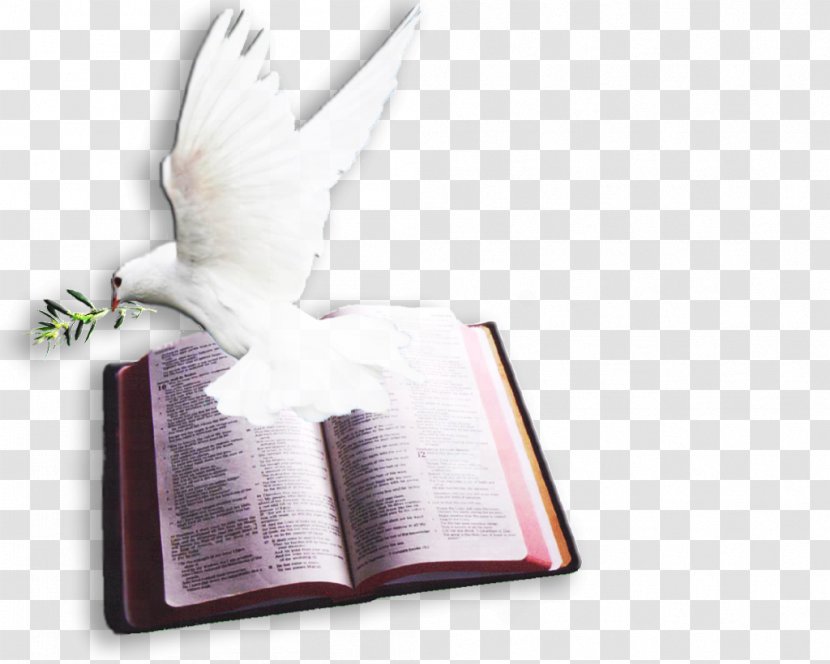 Chapters And Verses Of The Bible Psalms Doves As Symbols Pigeons - Flower - God Transparent PNG