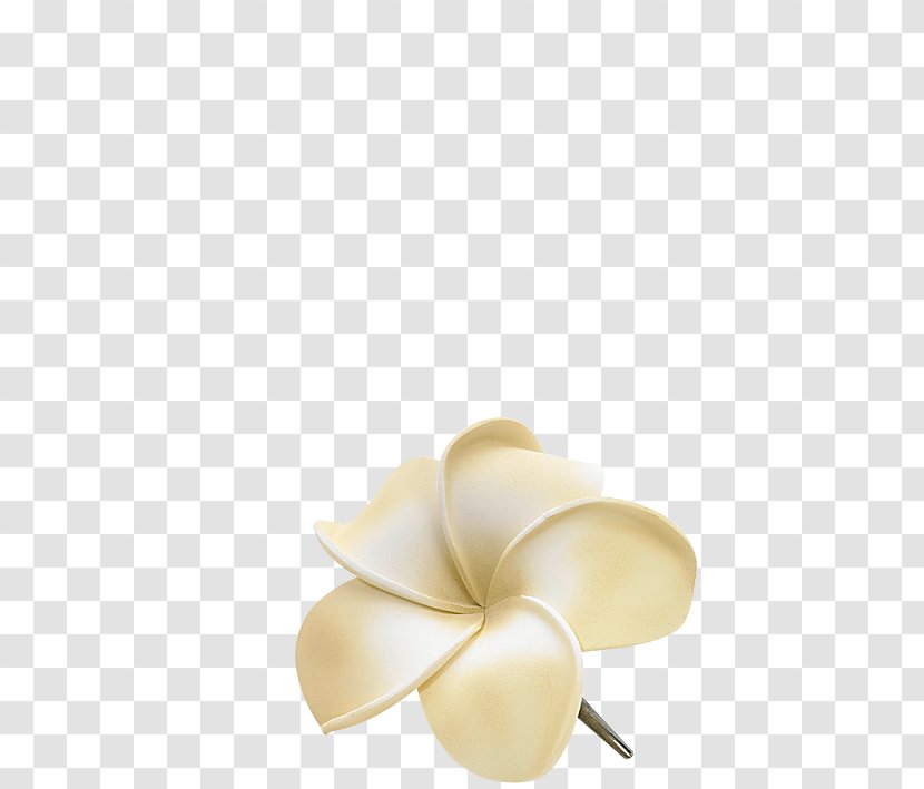 Frangipani Beige - Design Transparent PNG