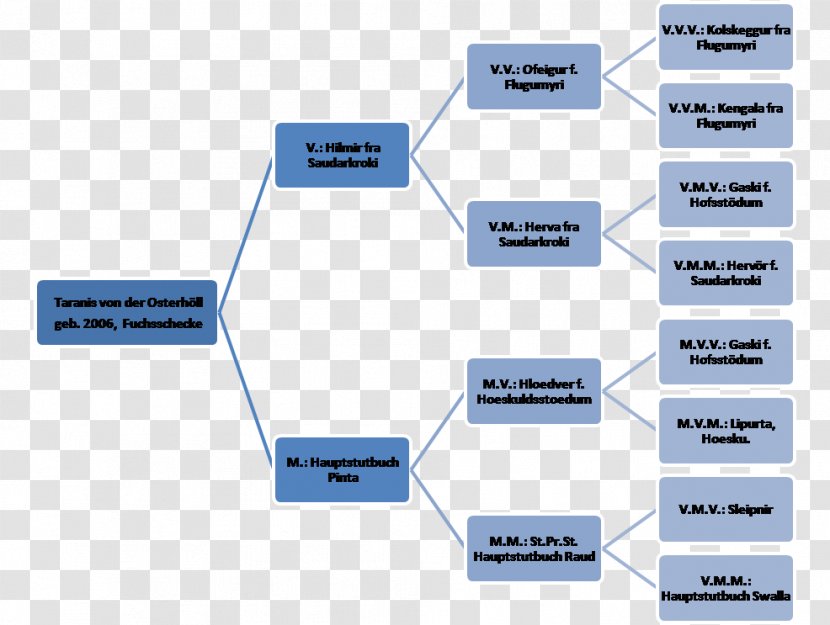 Family Tree Stakeholder Analysis Linearity Diagram Reihenfolge - Communication - Homo Sapiens Transparent PNG