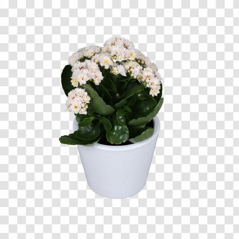Cut Flowers Flowerpot Artificial Flower Flowering Plant Transparent PNG