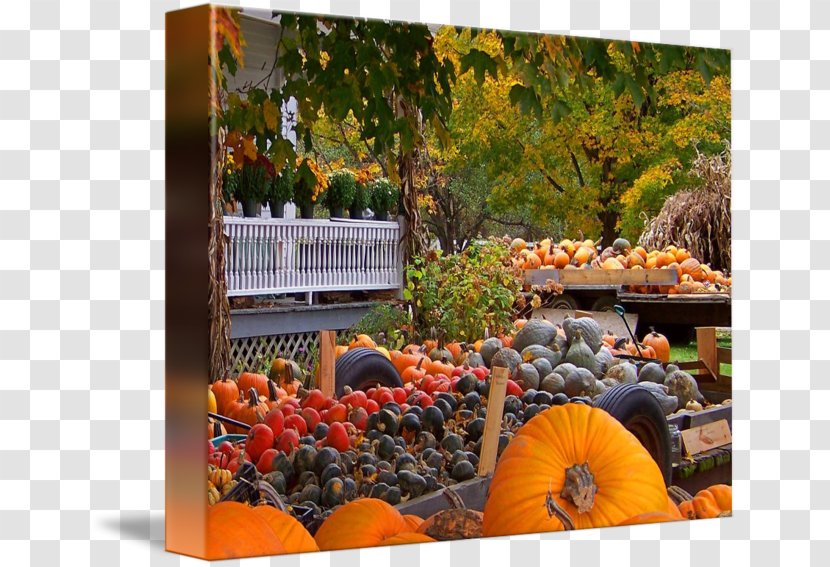 Pumpkin Gallery Wrap Gourd Canvas Fruit - Garden - Autumn Harvest Transparent PNG