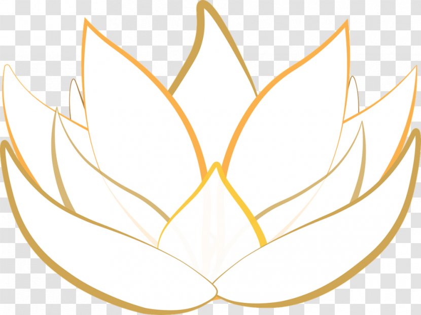 Nelumbo Nucifera Egyptian Lotus Drawing Nymphaea - Symmetry Transparent PNG