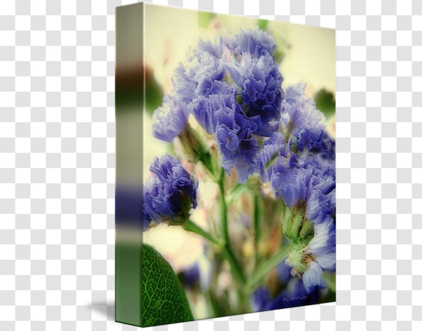 English Lavender Floral Design Cut Flowers Bluebonnet Transparent PNG
