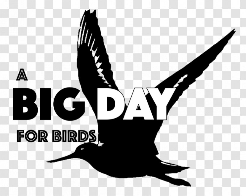 Bird Logo Beak Mississippi Font - Ornithology Transparent PNG
