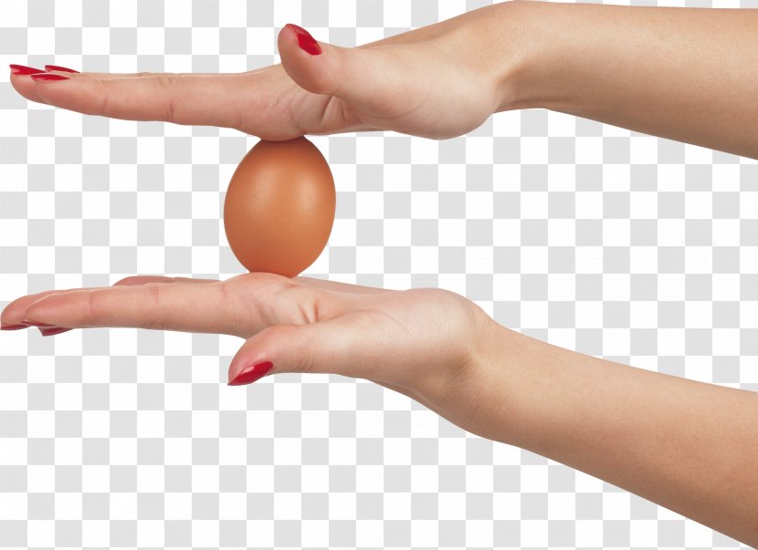 Chicken Egg Omelette - Fried - In Hands Image Transparent PNG