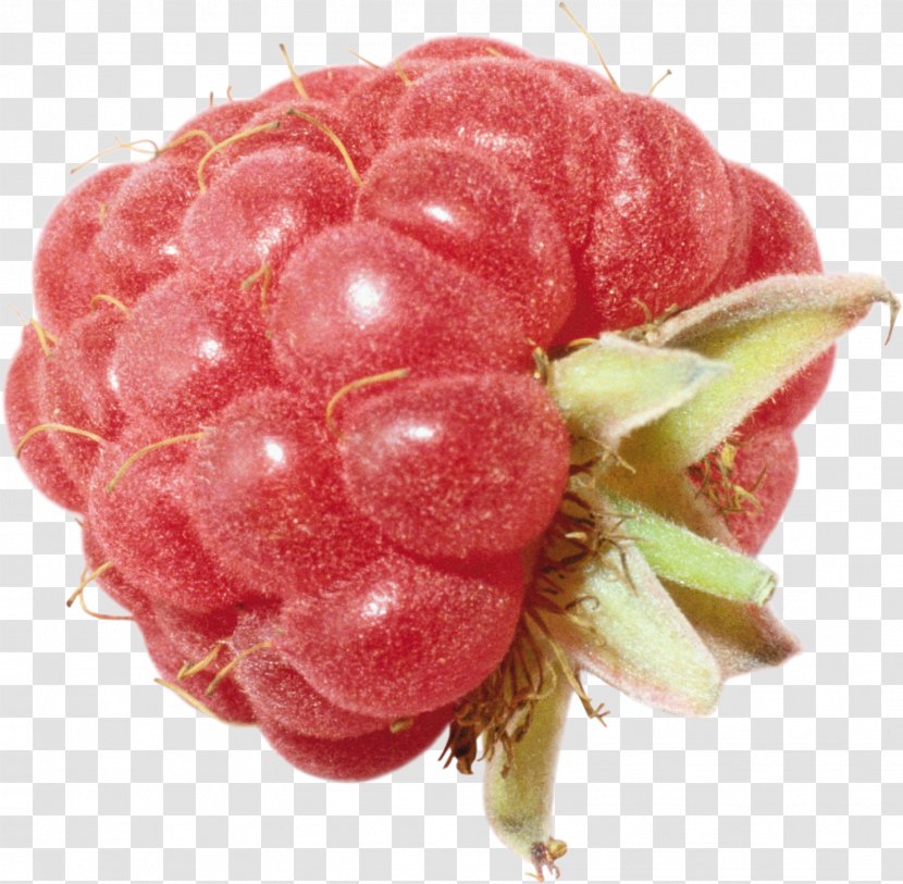 Raspberry Image Clip Art - Berry Transparent PNG