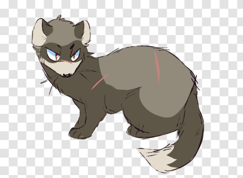 Cat Whiskers Ferret Weasels Drawing - Deviantart Transparent PNG