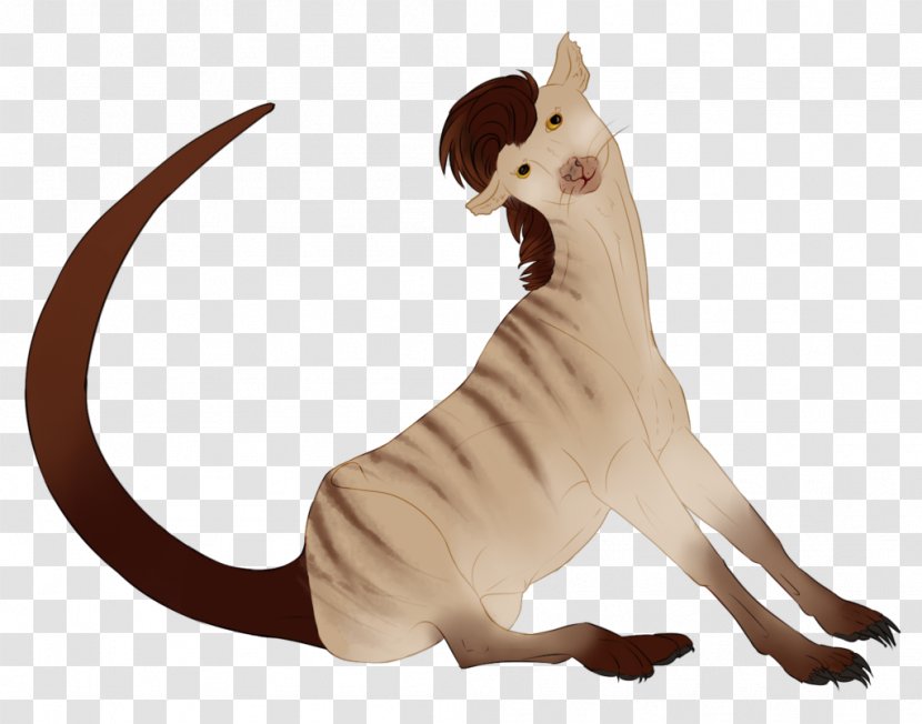 Cat Tail Wildlife Animal - Like Mammal Transparent PNG