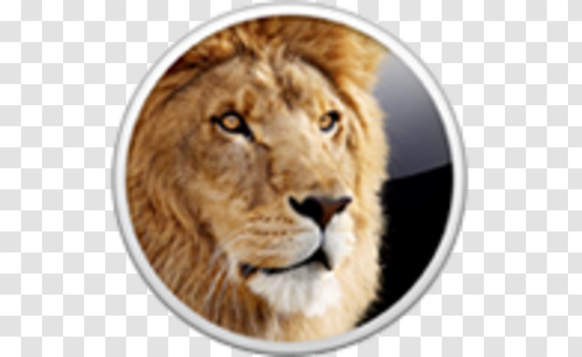 Mac OS X Lion MacOS Installation Operating Systems Apple - Os Transparent PNG