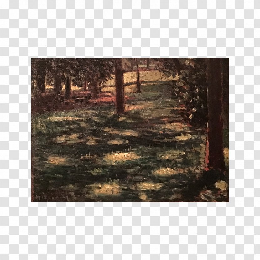Woodland Landscape Sunlight Painting - Grass - Wood Transparent PNG