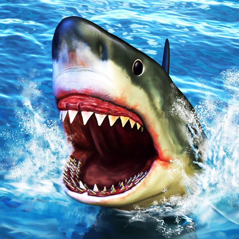 Great White Shark Angry Simulator Game 3D Fin Soup Attack - Sharks Transparent PNG