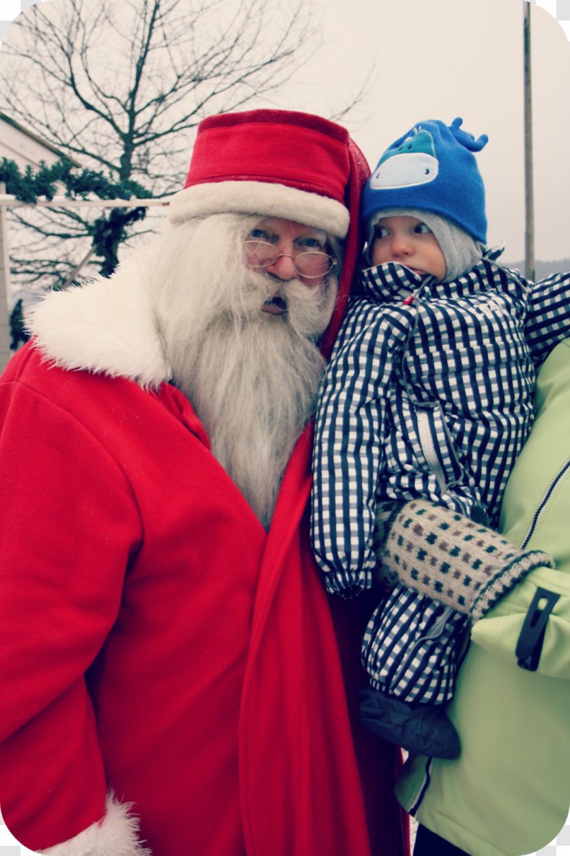 Santa Claus Christmas Lap Beard - Senior Citizen Transparent PNG