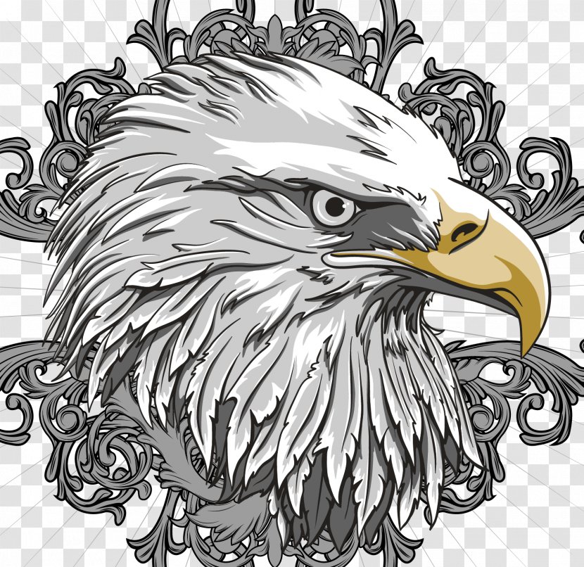 Bald Eagle Flag Of The United States - Vector Transparent PNG