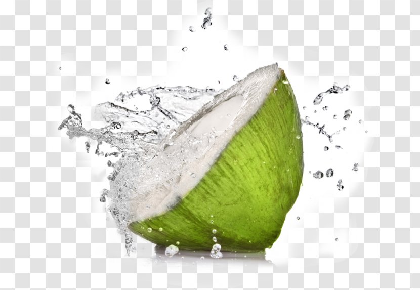 Coconut Water Sports & Energy Drinks Health Transparent PNG