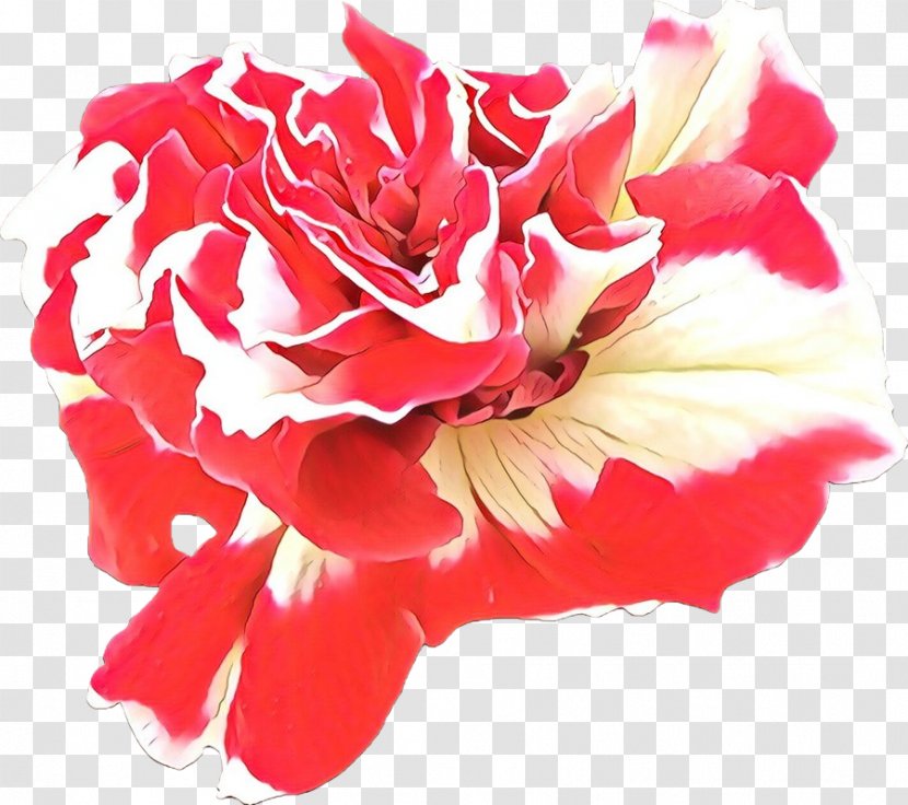 Pink Flower Cartoon - Photo Manipulation - Geranium Dianthus Transparent PNG