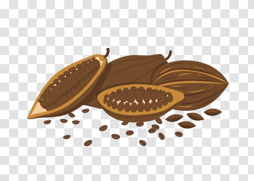 Coffee Bean Cocoa - Chocolate - Beans Transparent PNG